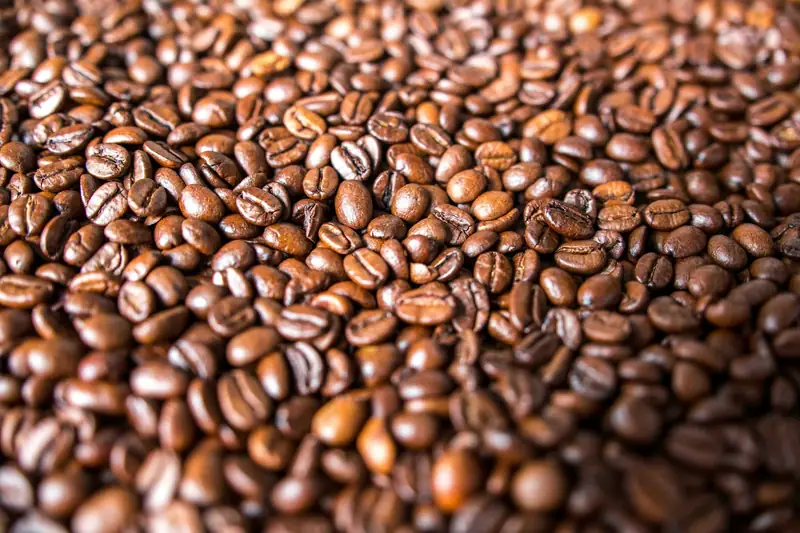 Close-up of roasted coffee beans