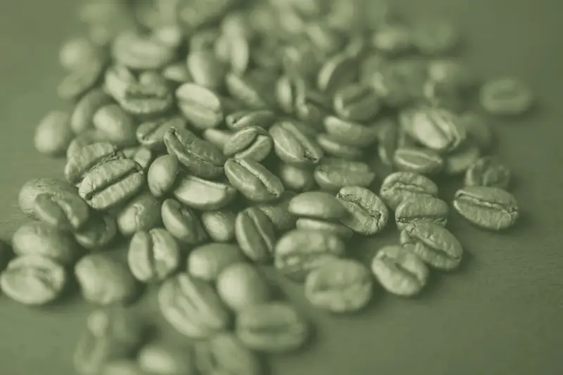 Unroasted green Arabica coffee beans