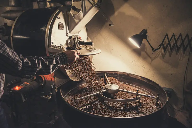Coffee beans tumbling from a roaster drum into the cooling tray