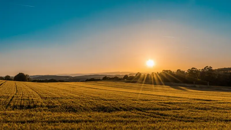 Sun rising over farmland at dawn